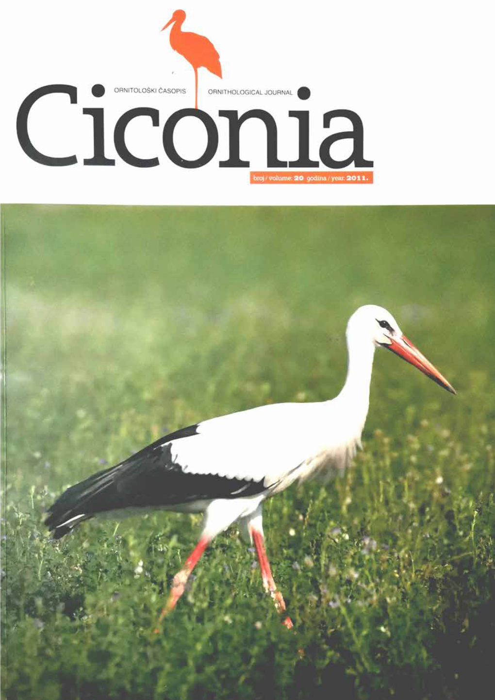 Ciconia Vol. 20