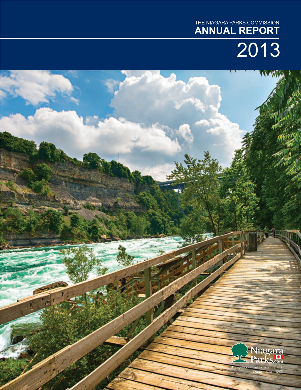 2013 Annual Report