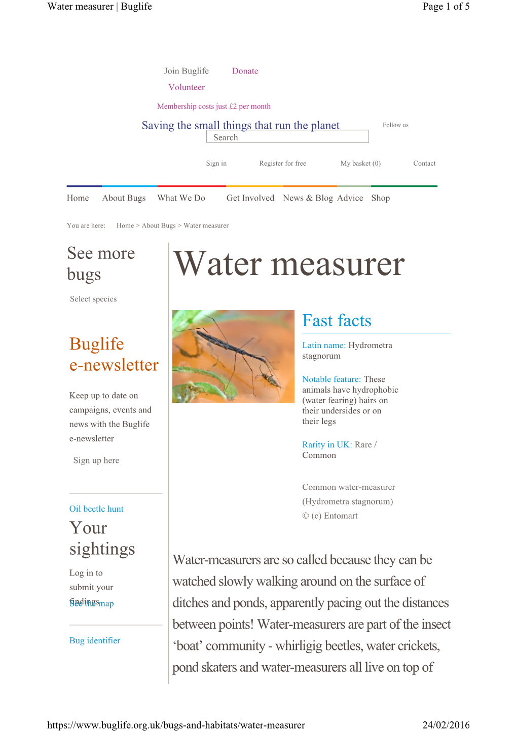 Water Measurer | Buglife Page 1 of 5