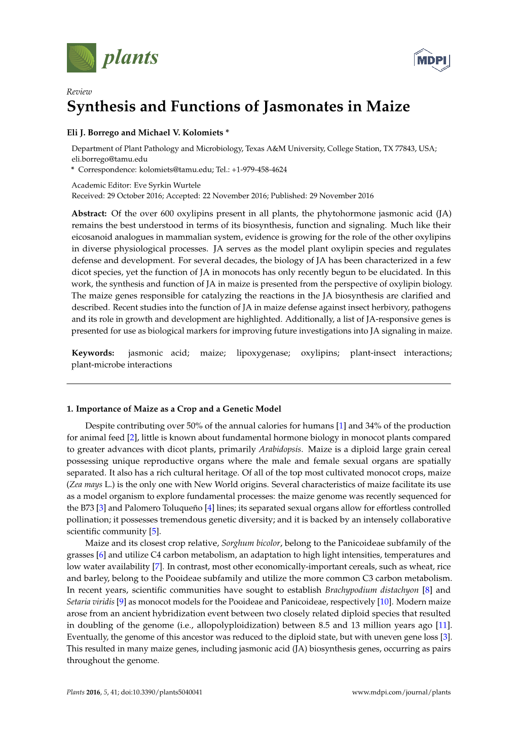 Synthesis and Functions of Jasmonates in Maize