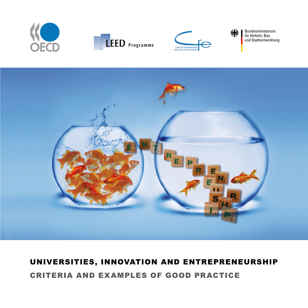 Universities, Innovation and Entrepreneurship Criteria and Examples of Good Practice Cover Picture Idea by Andrea R