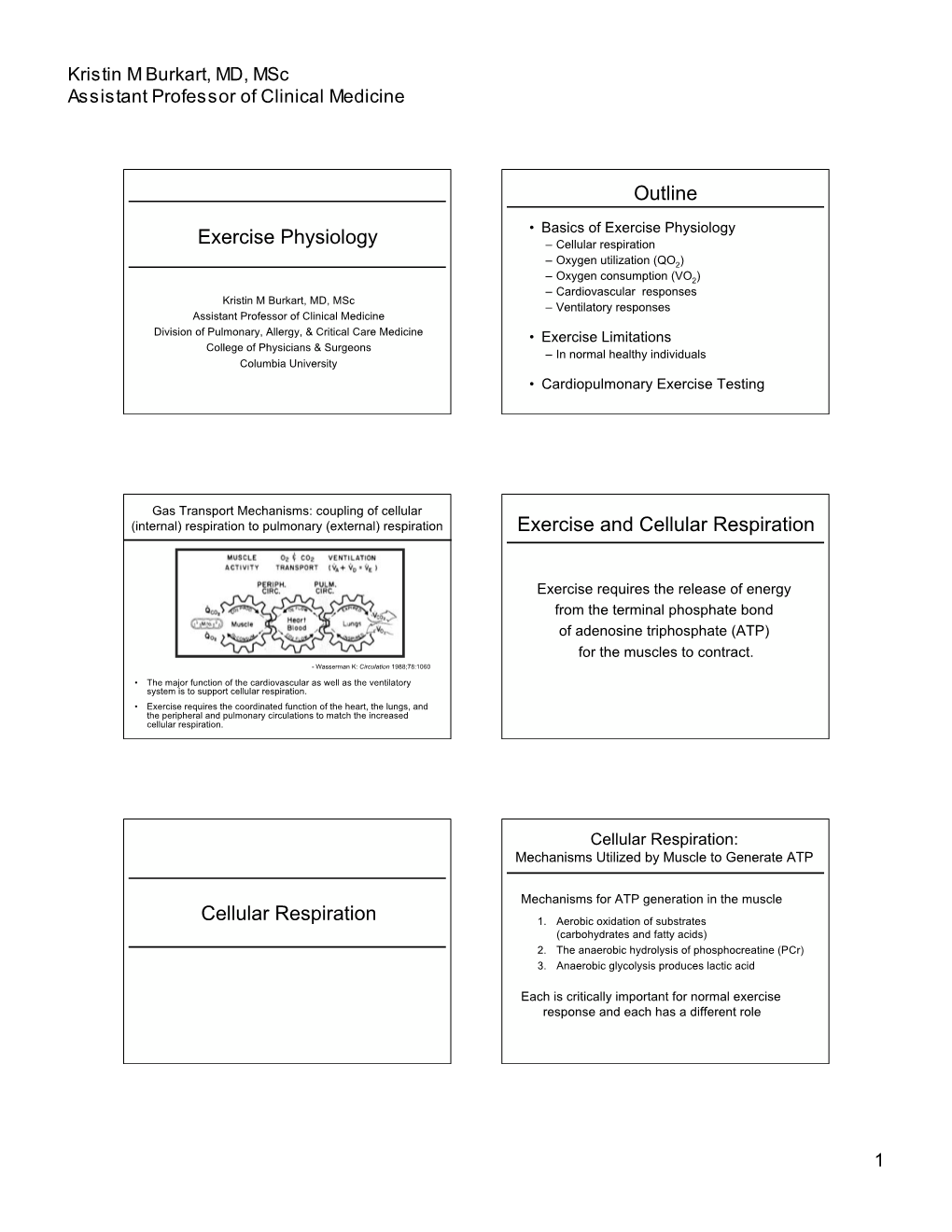 Exercise Physiology Exercise Physiology – Cellular Respiration