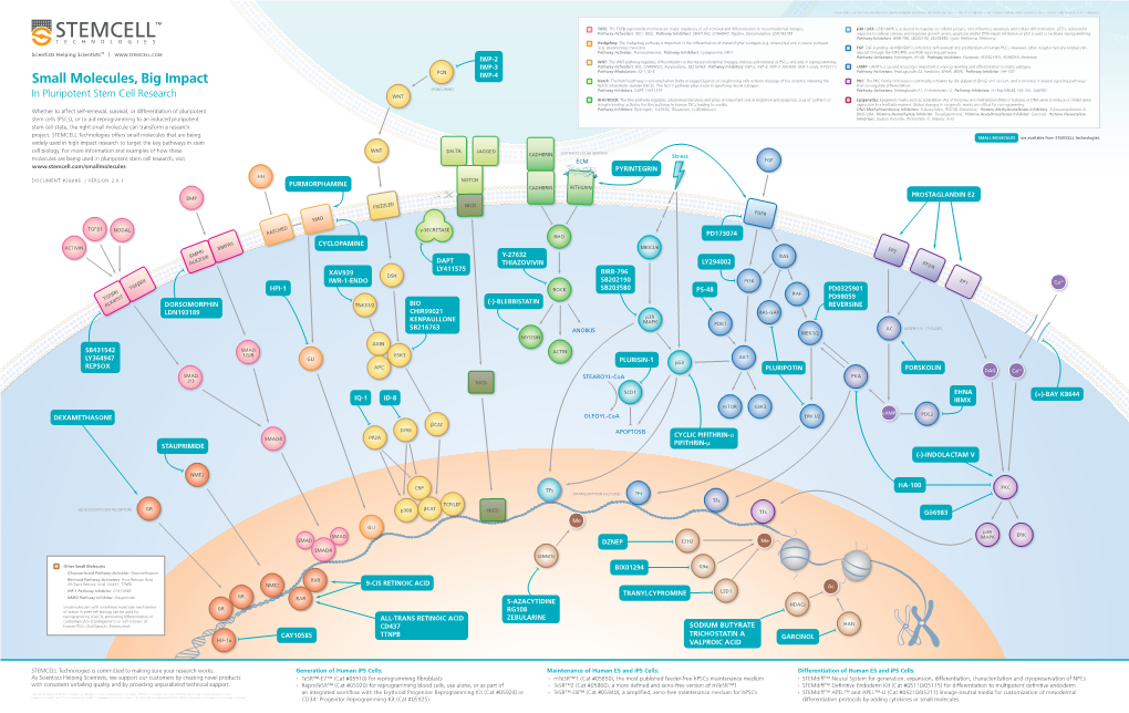 Small Molecules, Big Impact