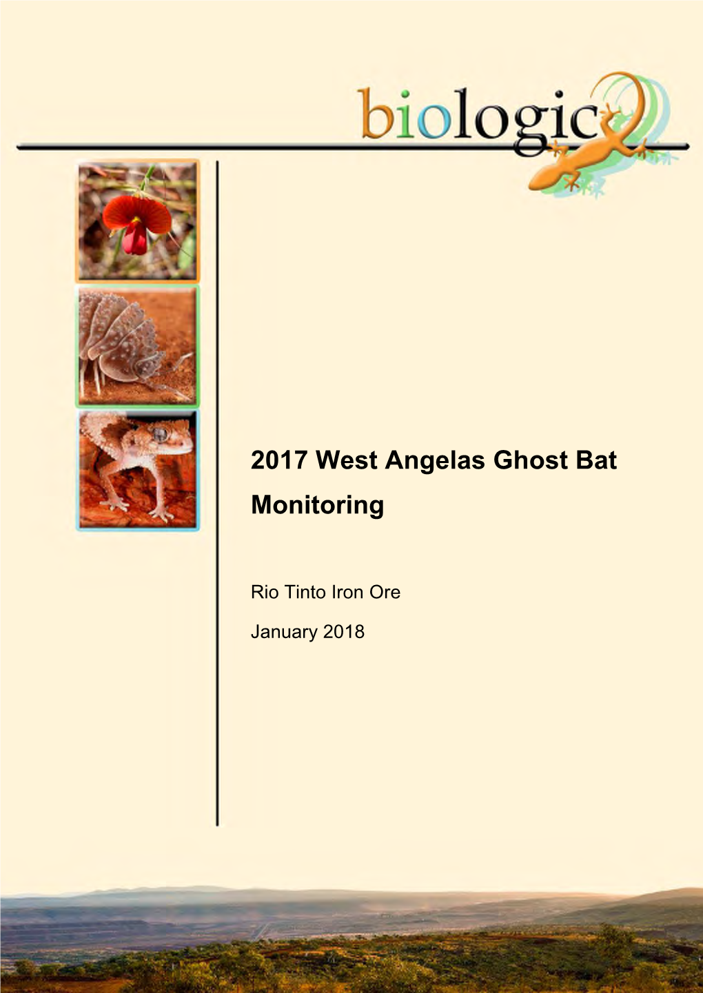 2017 West Angelas Ghost Bat Monitoring
