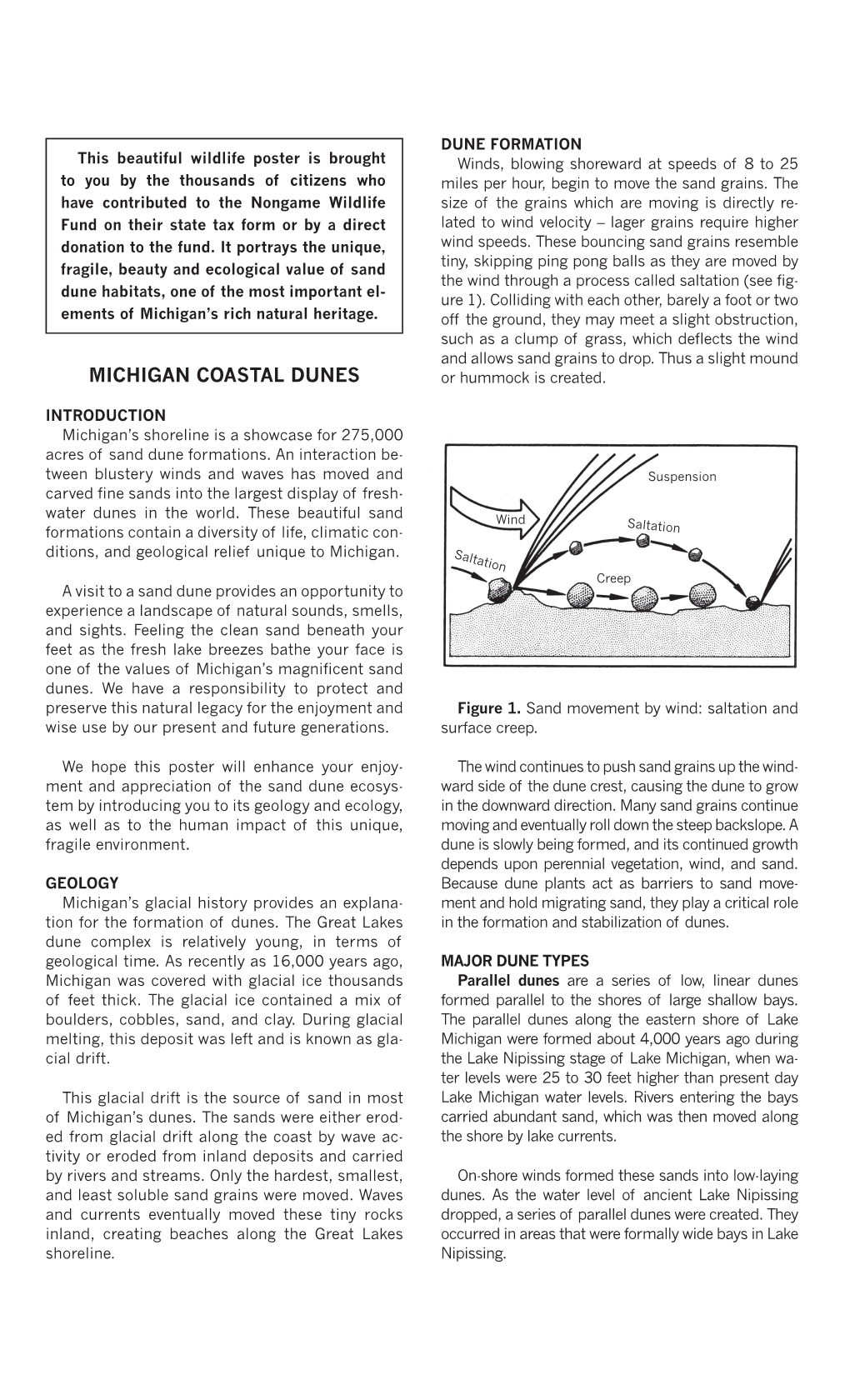 Michigan Coastal Dunes Or Hummock Is Created