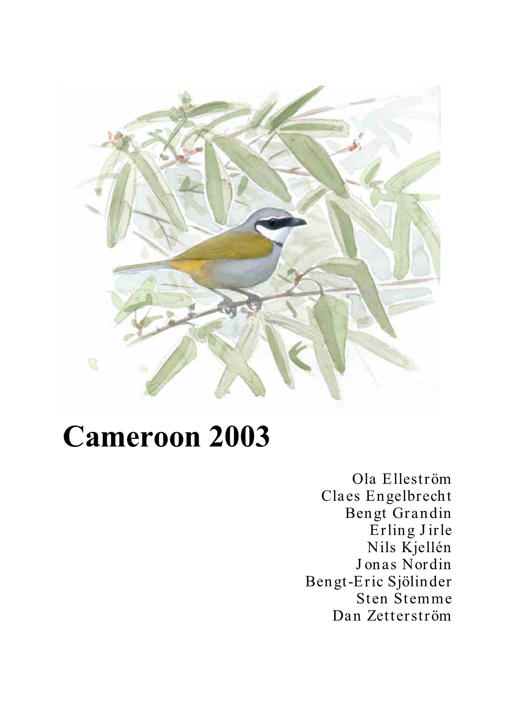 Cameroon 2003