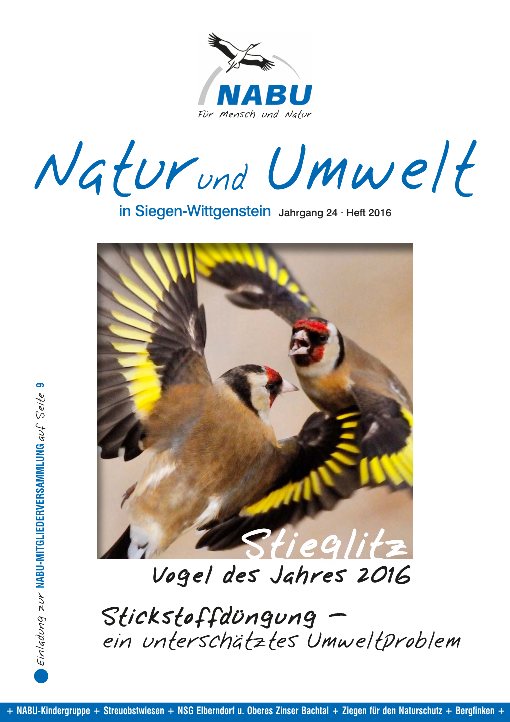 Stieglitz Vogel Des Jahres 2016