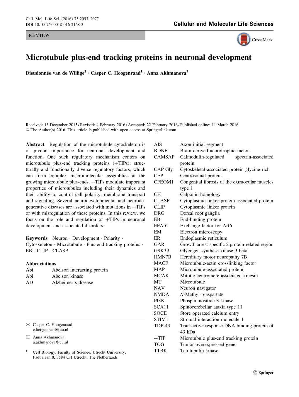 Microtubule Plus-End Tracking Proteins in Neuronal Development