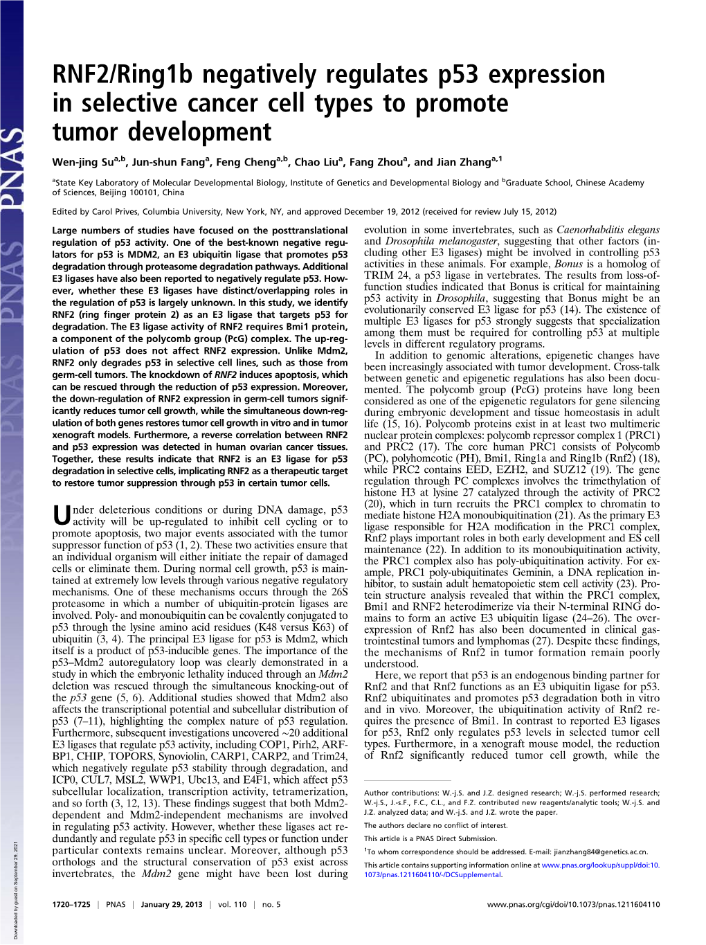 RNF2/Ring1b Negatively Regulates P53 Expression in Selective Cancer Cell Types to Promote Tumor Development