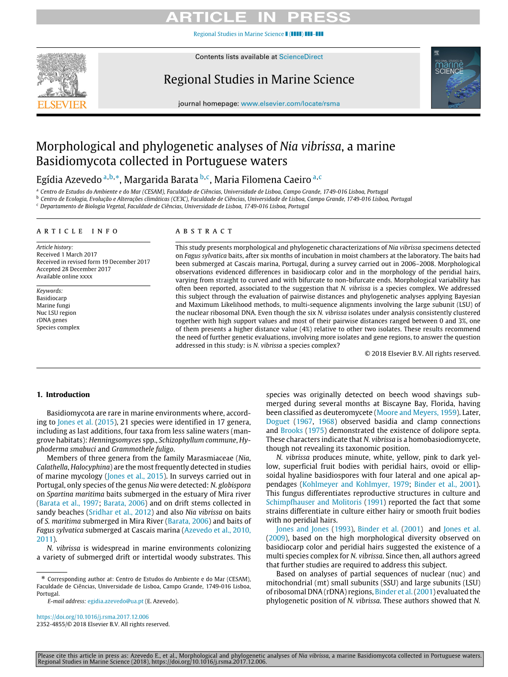 Morphological and Phylogenetic Analyses of Nia Vibrissa, a Marine