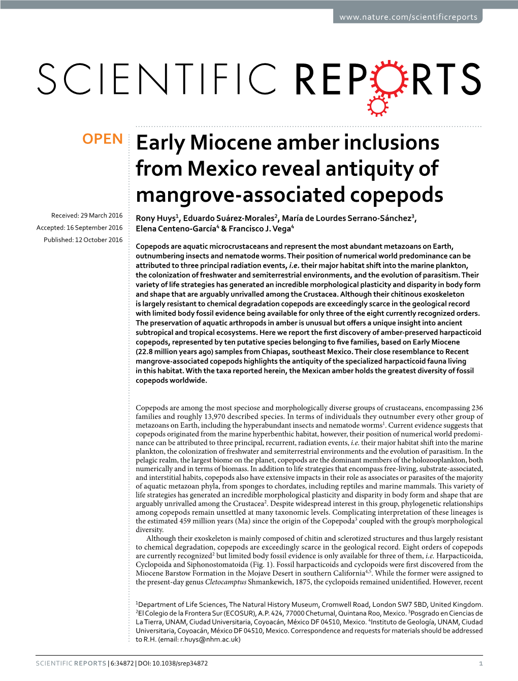 Early Miocene Amber Inclusions from Mexico Reveal Antiquity Of