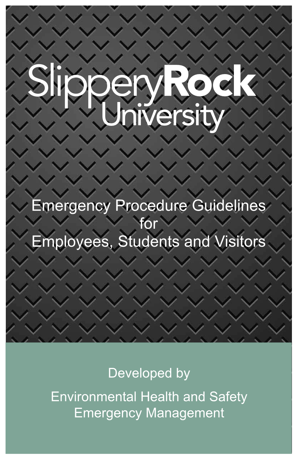 Emergency Procedure Guidelines for Employees, Students and Visitors