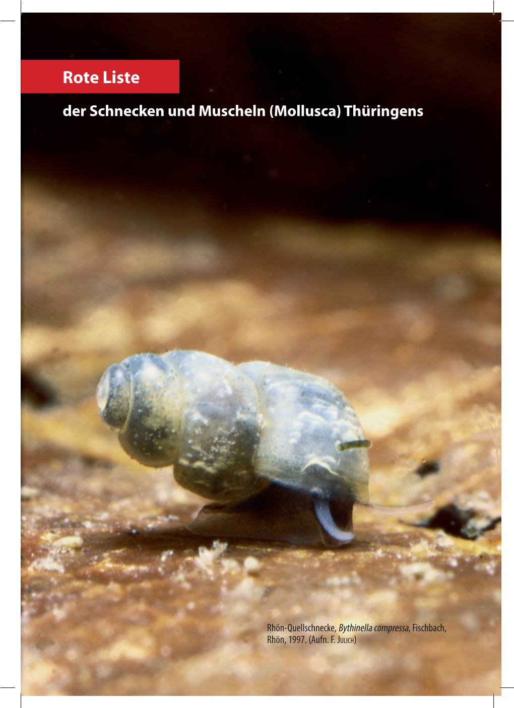 Rote Liste Der Schnecken Und Muscheln (Mollusca) Thüringens