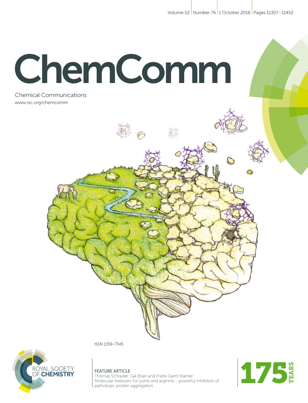 Molecular Tweezers for Lysine and Arginine &#X2013