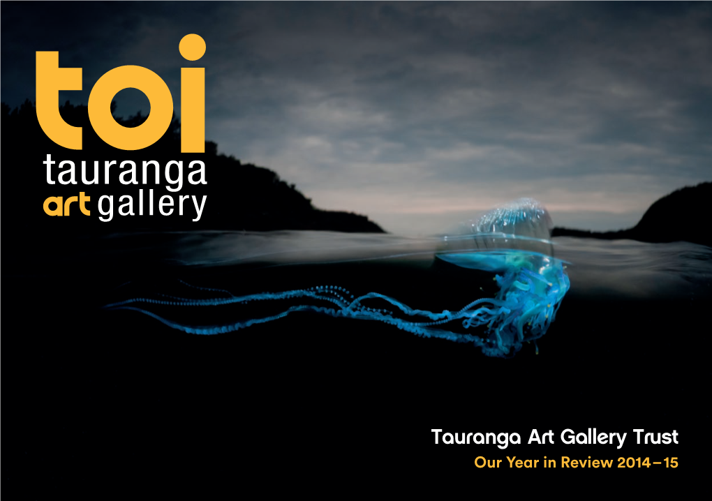 Tauranga Art Gallery Trust Our Year in Review 2014 – 15 2 |