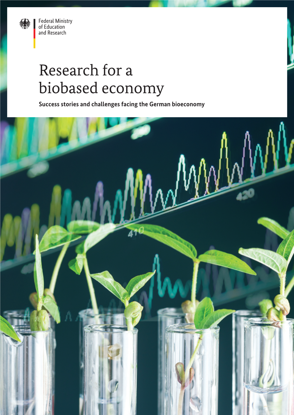 Research for a Biobased Economy Success Stories and Challenges Facing the German Bioeconomy