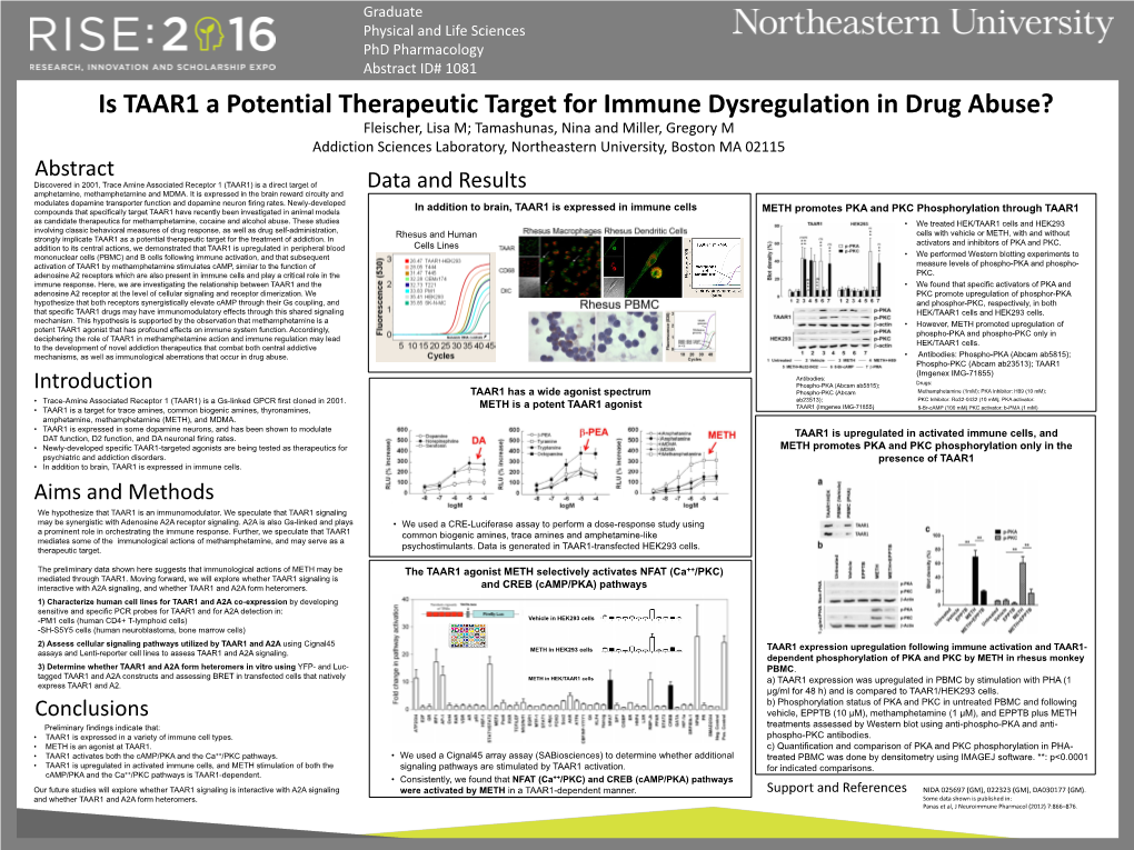 Is TAAR1 a Potential Therapeutic Target for Immune Dysregulation In
