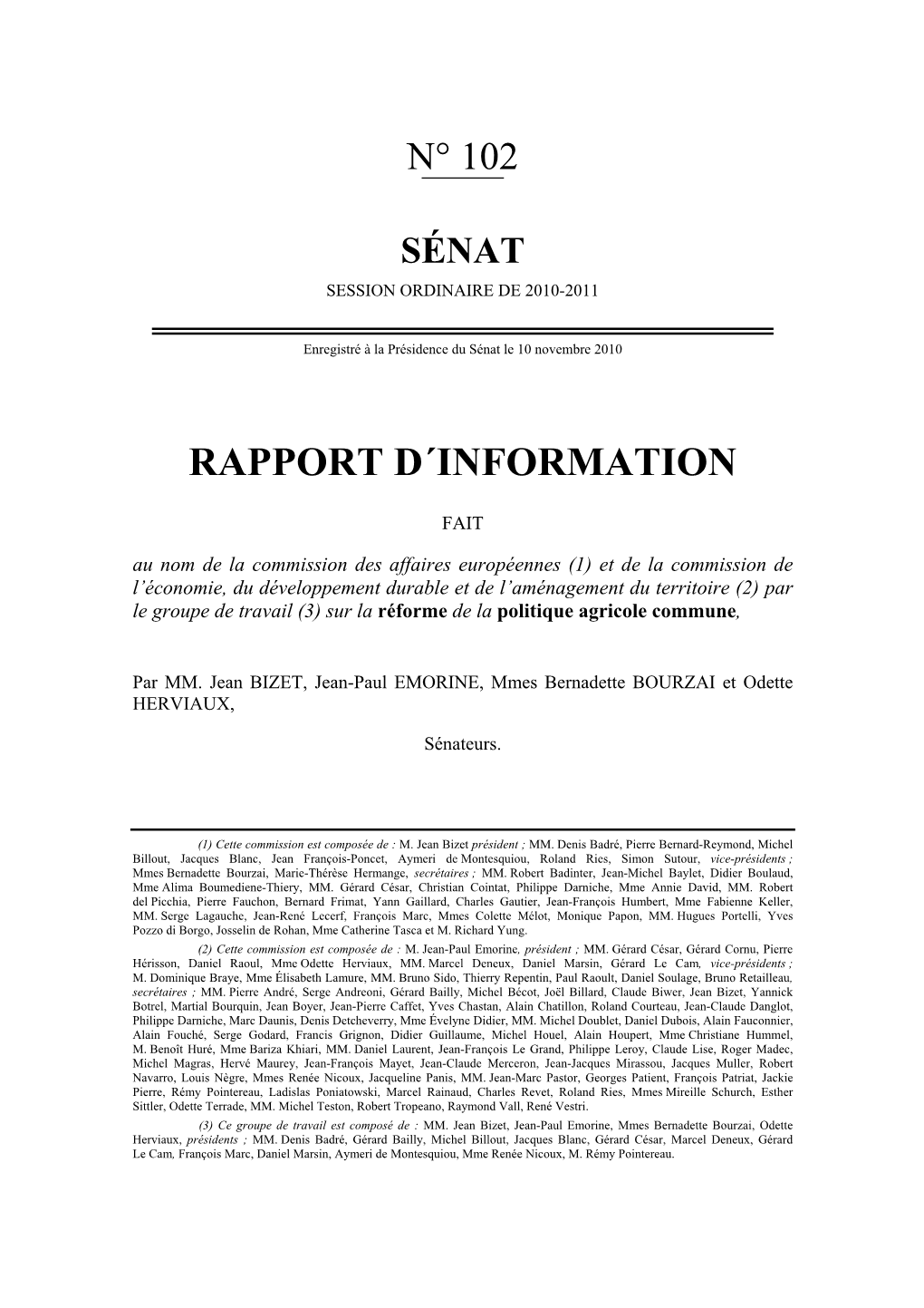 Rapport D´Information