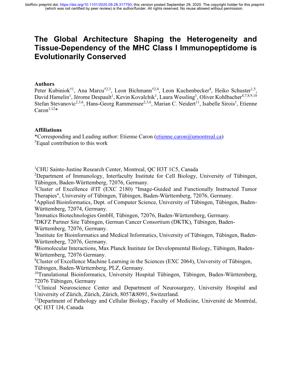 The Global Architecture Shaping the Heterogeneity and Tissue-Dependency of the MHC Class I Immunopeptidome Is Evolutionarily Conserved