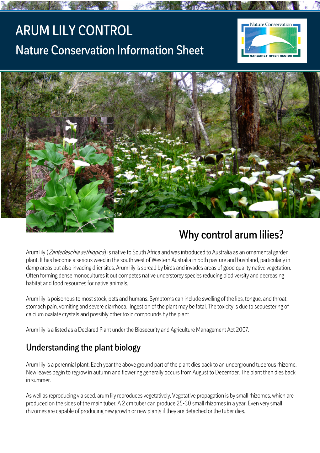 Arum Lily Control