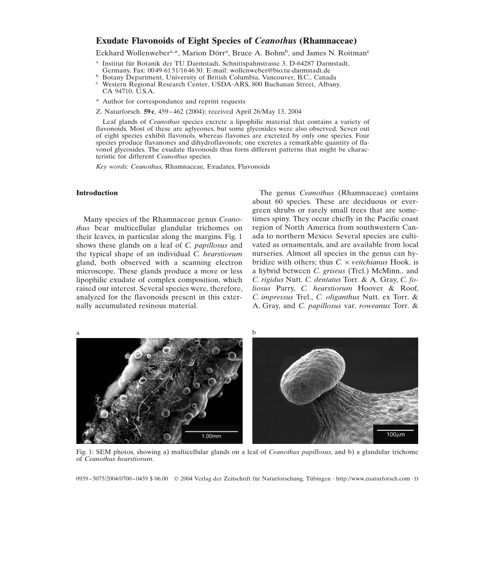 Exudate Flavonoids of Eight Species of Ceanothus (Rhamnaceae) Eckhard Wollenwebera,*, Marion Dörra, Bruce A