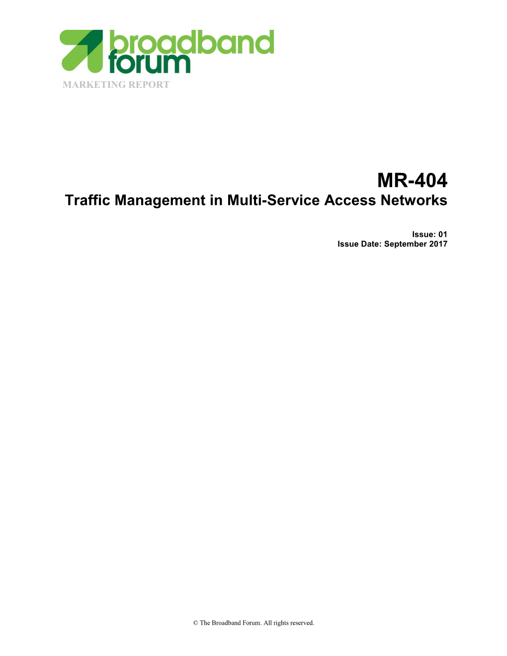 Traffic Management in Multi-Service Access Networks