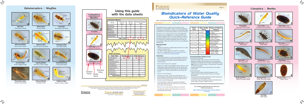 Bioindicators of Water Quality