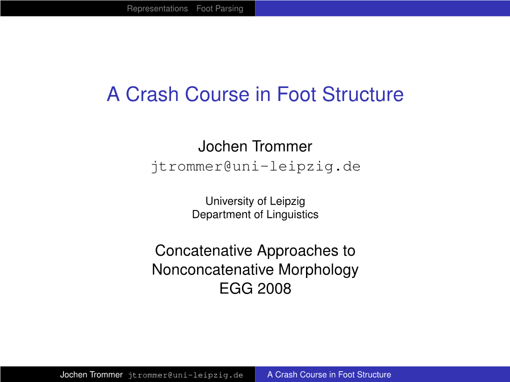 A Crash Course in Foot Structure