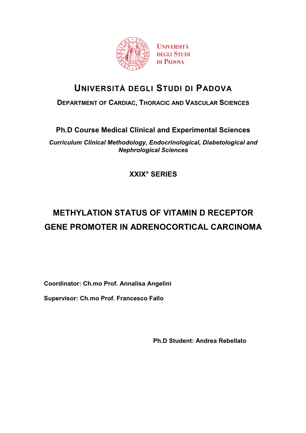 Methylation Status of Vitamin D Receptor Gene Promoter in Adrenocortical Carcinoma