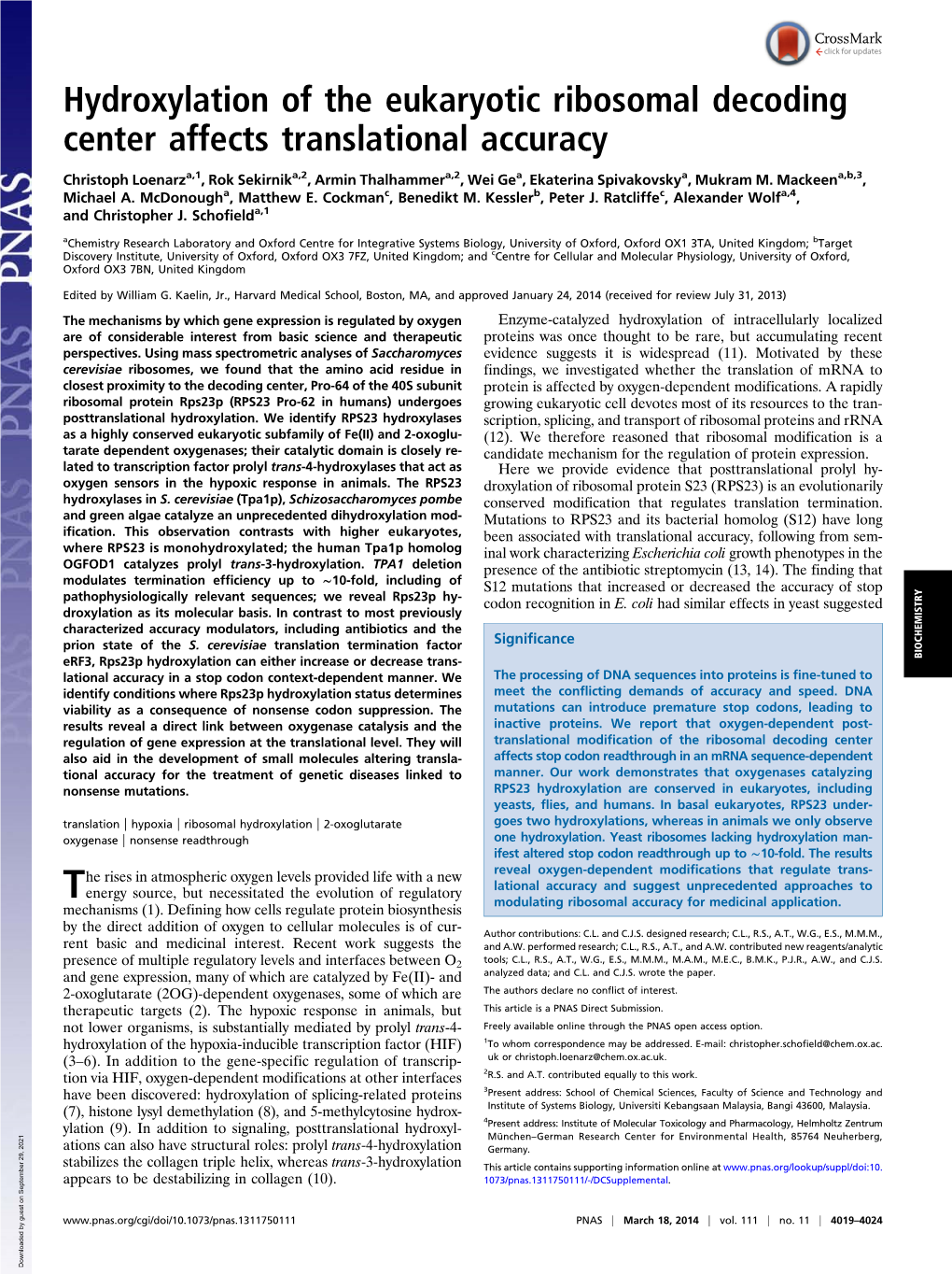 Hydroxylation of the Eukaryotic Ribosomal Decoding Center Affects Translational Accuracy