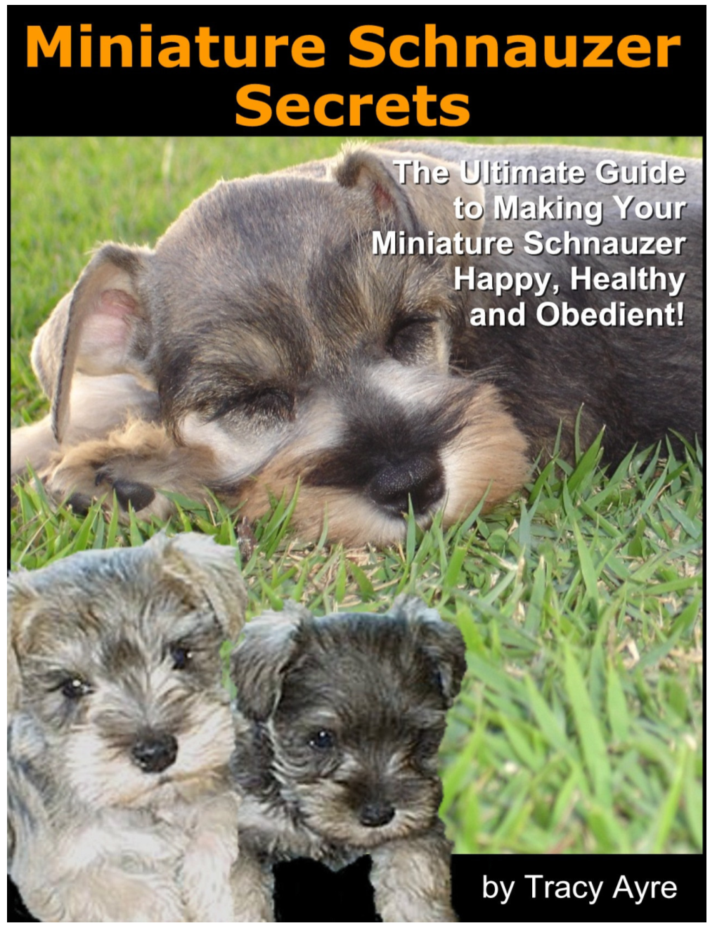 Miniature Schnauzer Secrets