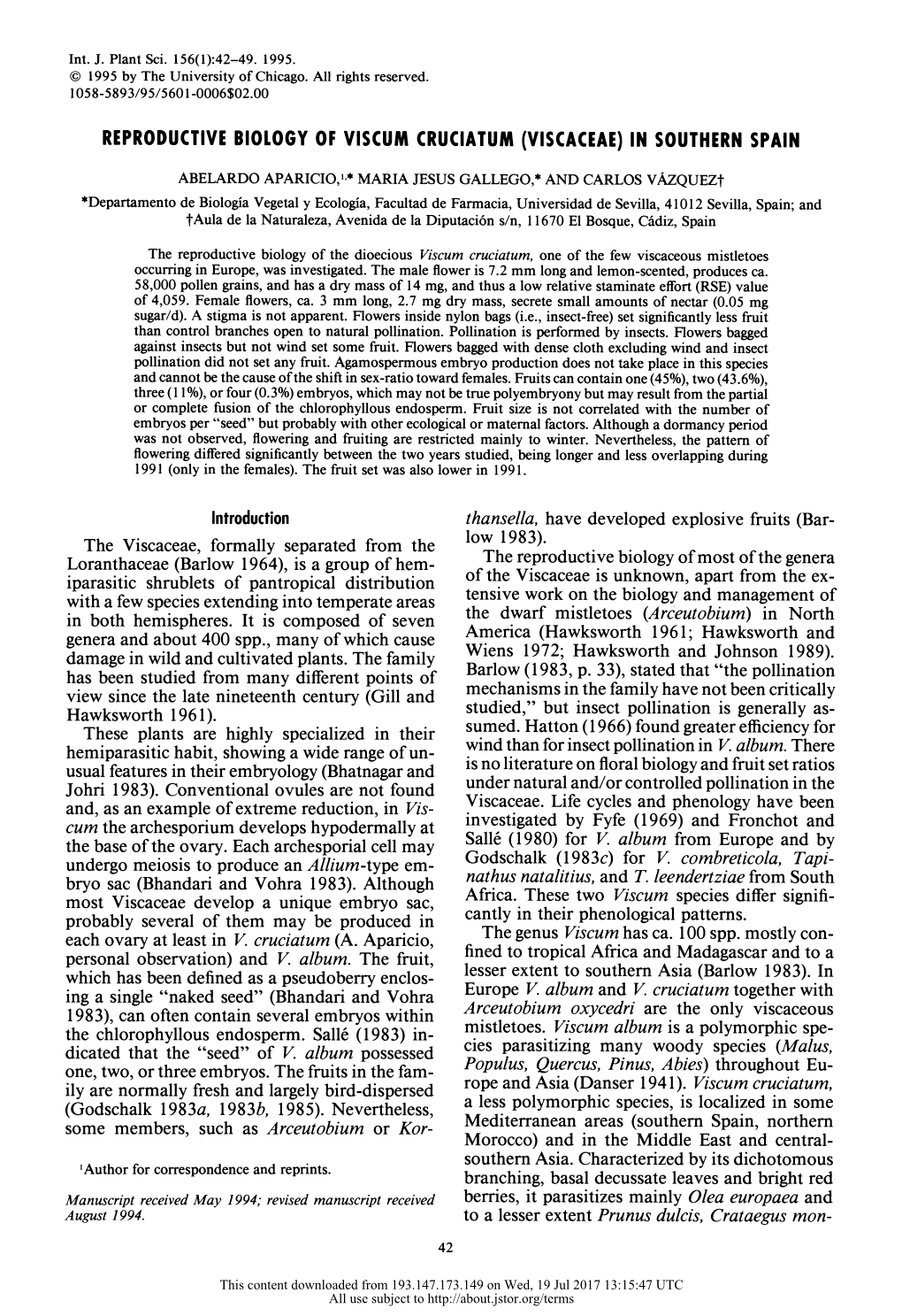 Reproductive Biology of Viscum Cruciatum (Viscaceae) in Southern Spain