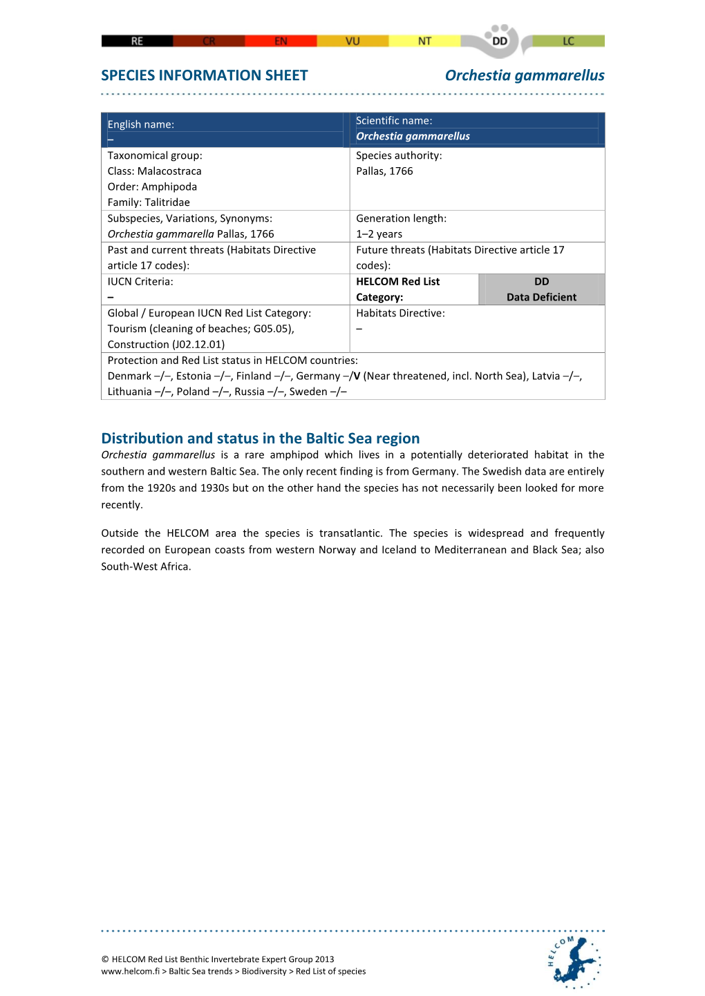 SPECIES INFORMATION SHEET Orchestia Gammarellus