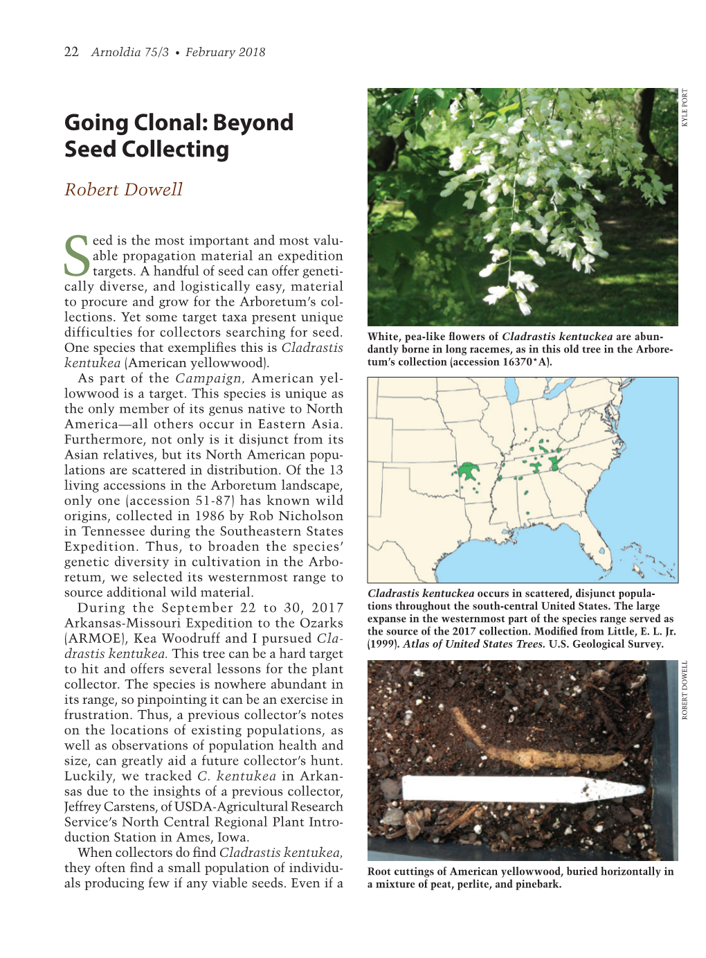 Going Clonal: Beyond Seed Collecting