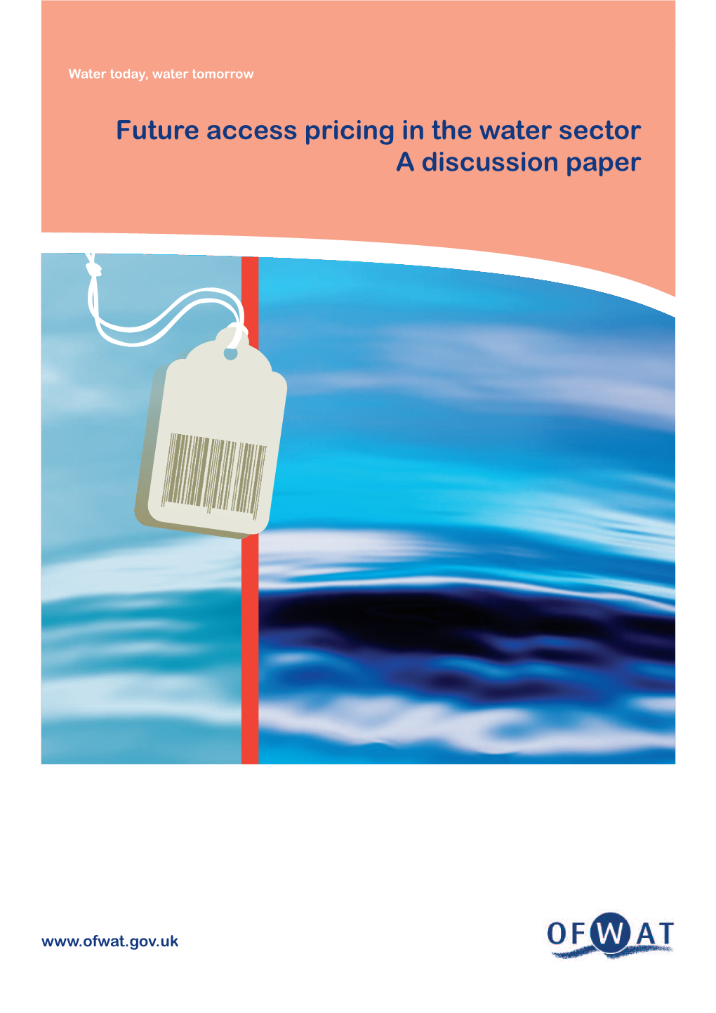 Future Access Pricing in the Water Sector a Discussion Paper