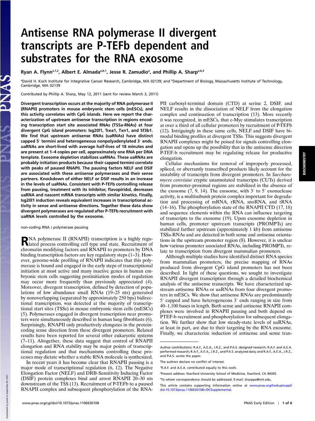 Antisense RNA Polymerase II Divergent Transcripts Are P-Tefb Dependent and Substrates for the RNA Exosome