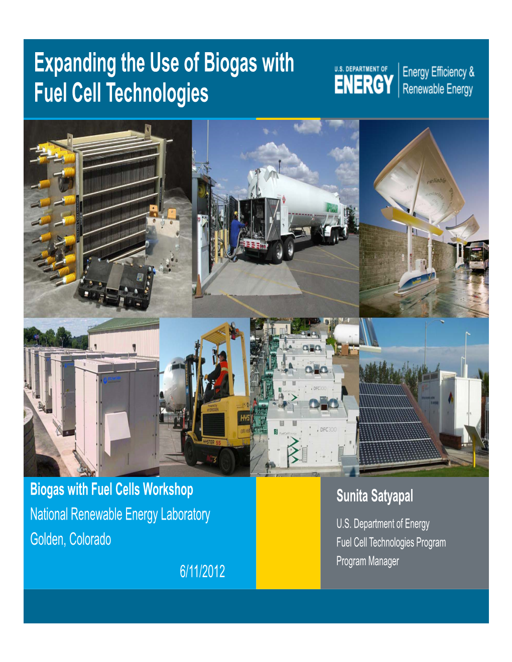 Expanding the Use of Biogas with Fuel Cell Technologies