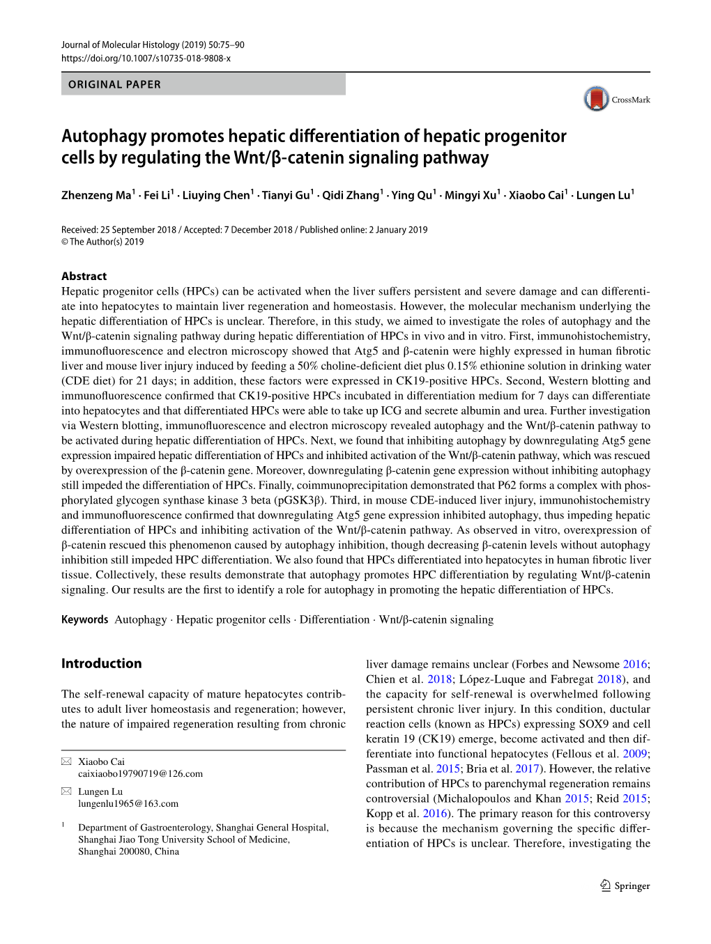 Autophagy Promotes Hepatic Differentiation of Hepatic Progenitor Cells by Regulating the Wnt/Β-Catenin Signaling Pathway