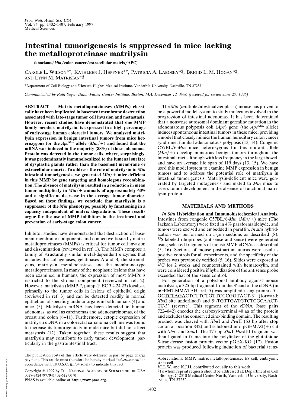 Intestinal Tumorigenesis Is Suppressed in Mice Lacking the Metalloproteinase Matrilysin (Knockout͞min͞colon Cancer͞extracellular Matrix͞apc)