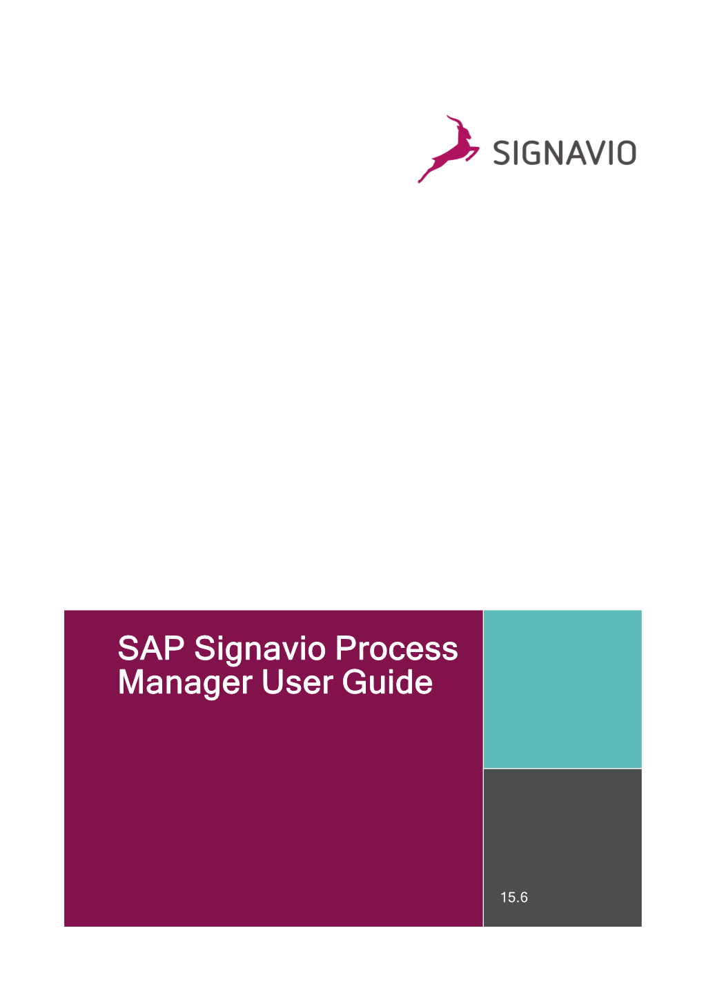 Process-Manager-User-Guide-En.Pdf