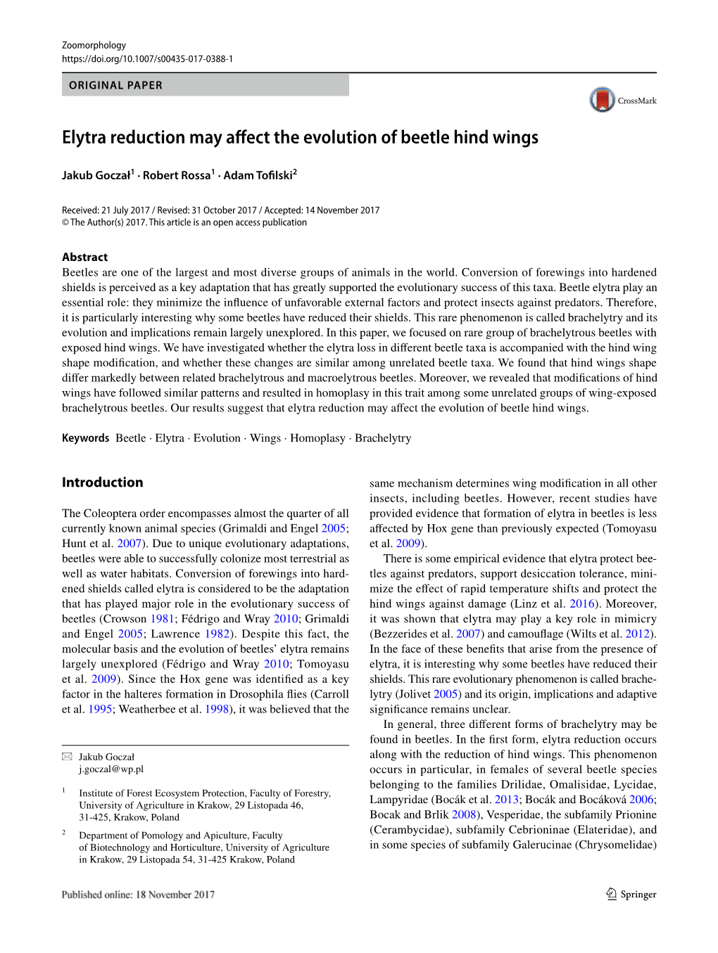 Elytra Reduction May Affect the Evolution of Beetle Hind Wings