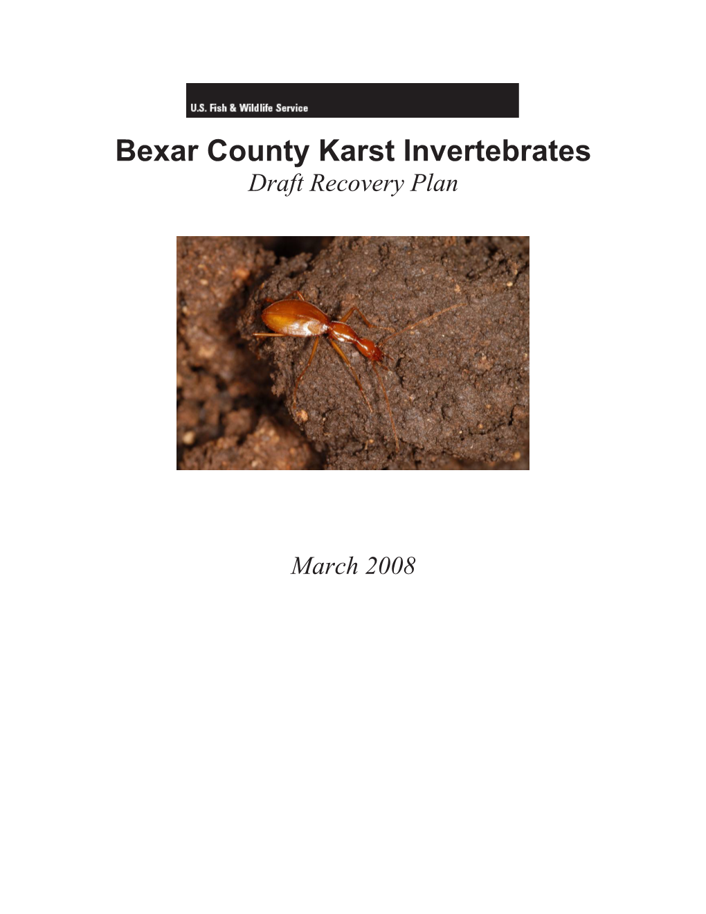 Bexar County Karst Invertebrates Draft Recovery Plan