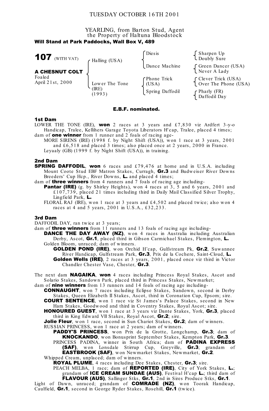 TUESDAY OCTOBER 16TH 2001 YEARLING, from Barton Stud, Agent the Property of Haltuna Bloodstock