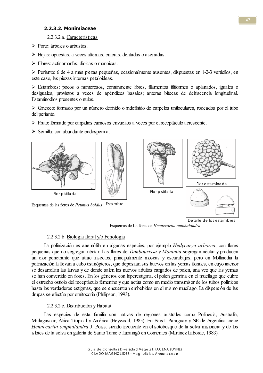 Monimiaceae 2.2.3.2.A