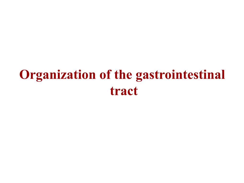 Organization of the Gastrointestinal Tract