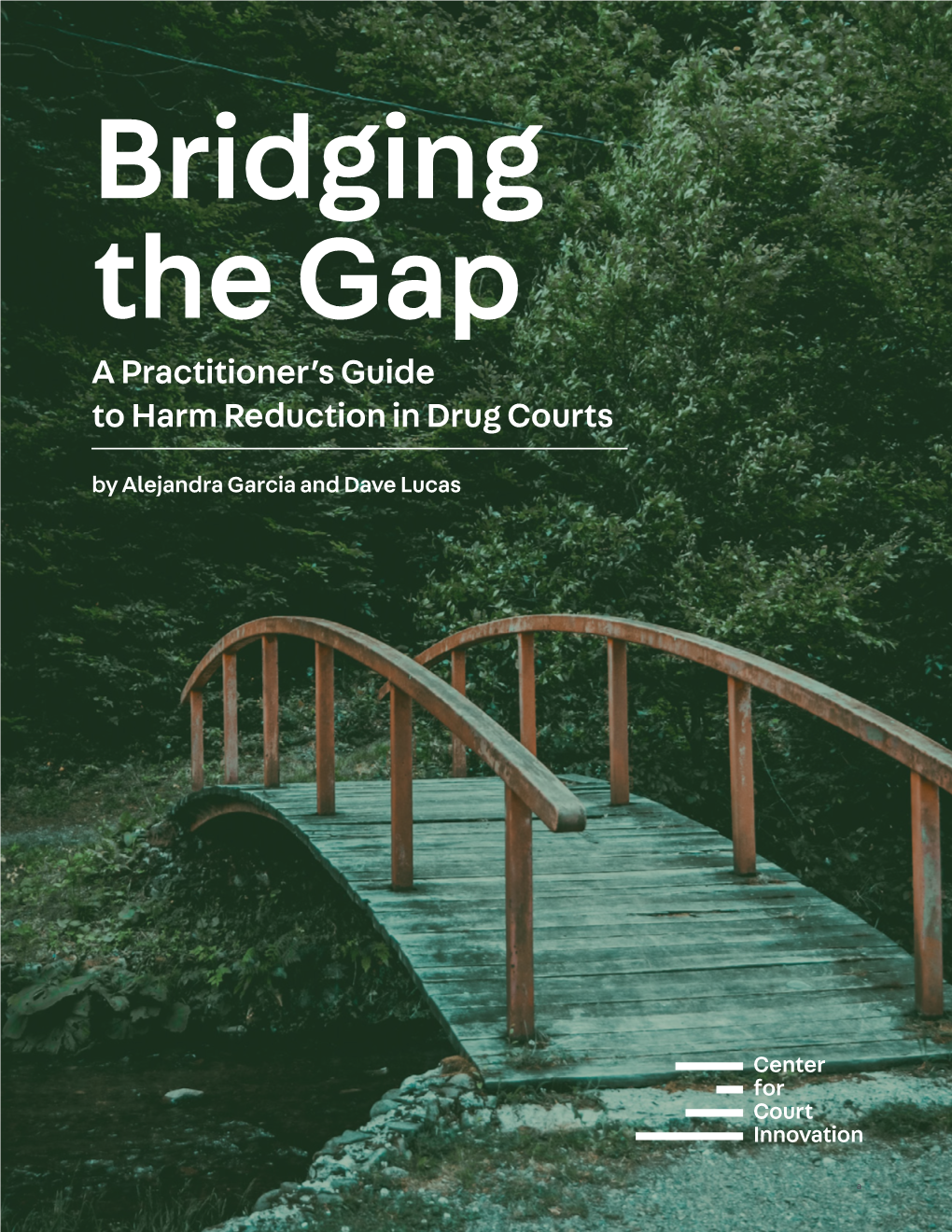 Bridging the Gap: a Practitioner's Guide to Harm Reduction in Drug