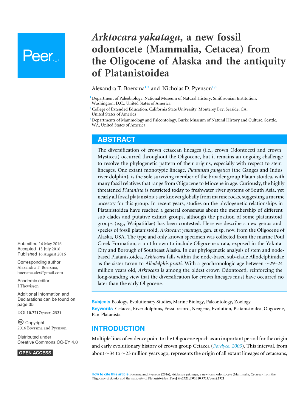 Arktocara Yakataga, a New Fossil Odontocete (Mammalia, Cetacea) from the Oligocene of Alaska and the Antiquity of Platanistoidea