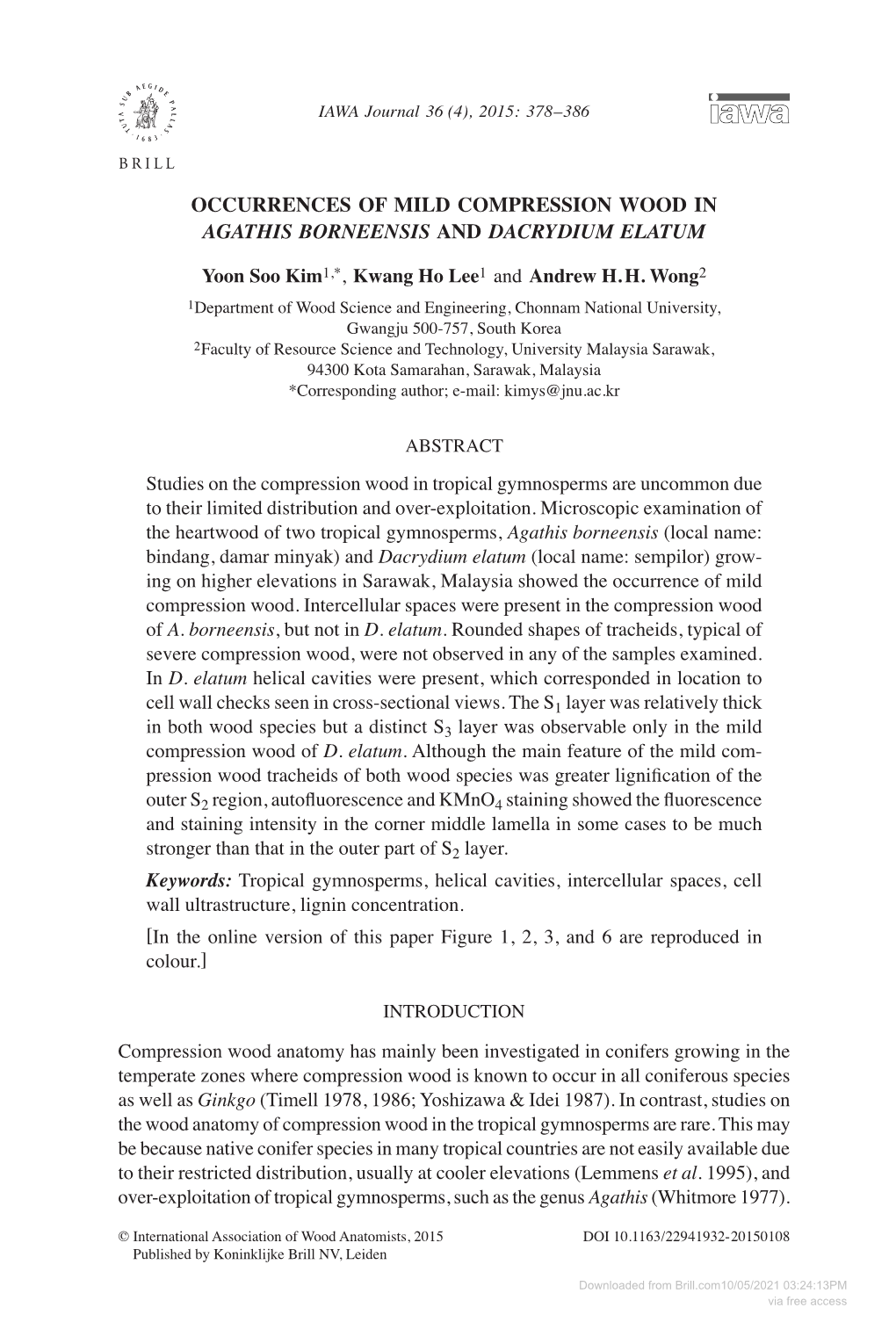 Occurrences of Mild Compression Wood in Agathis Borneensis and Dacrydium Elatum