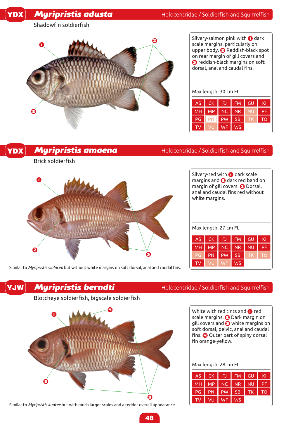 Identification Guide to the Common Coatal Food Fishes of the Pacific Region-48-53