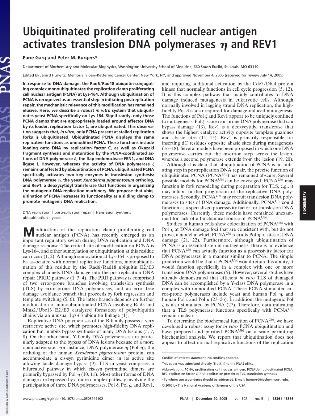 Ubiquitinated Proliferating Cell Nuclear Antigen Activates Translesion DNA Polymerases ␩ and REV1